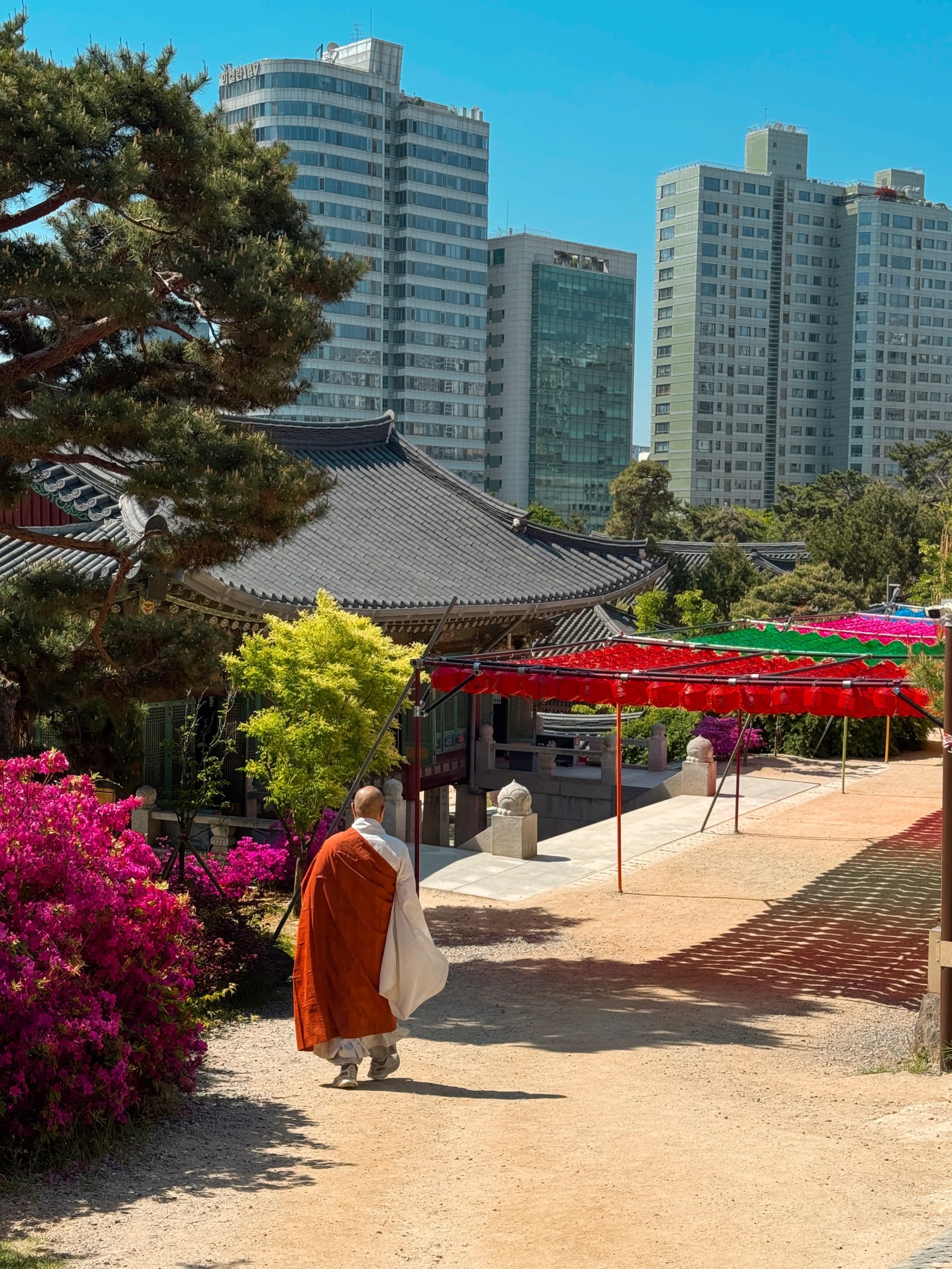 COREA DEL SUD