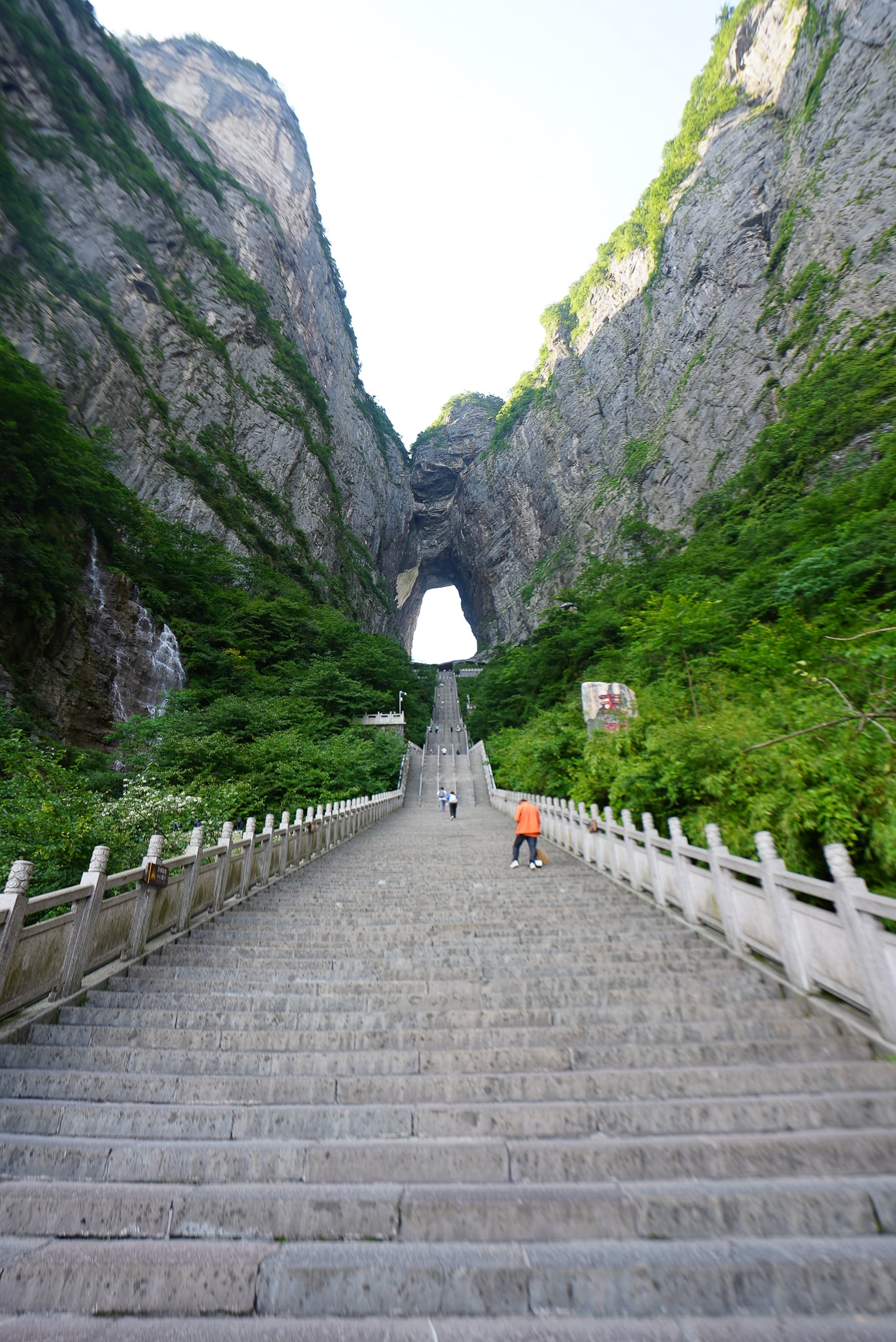 Galleria immagine 8