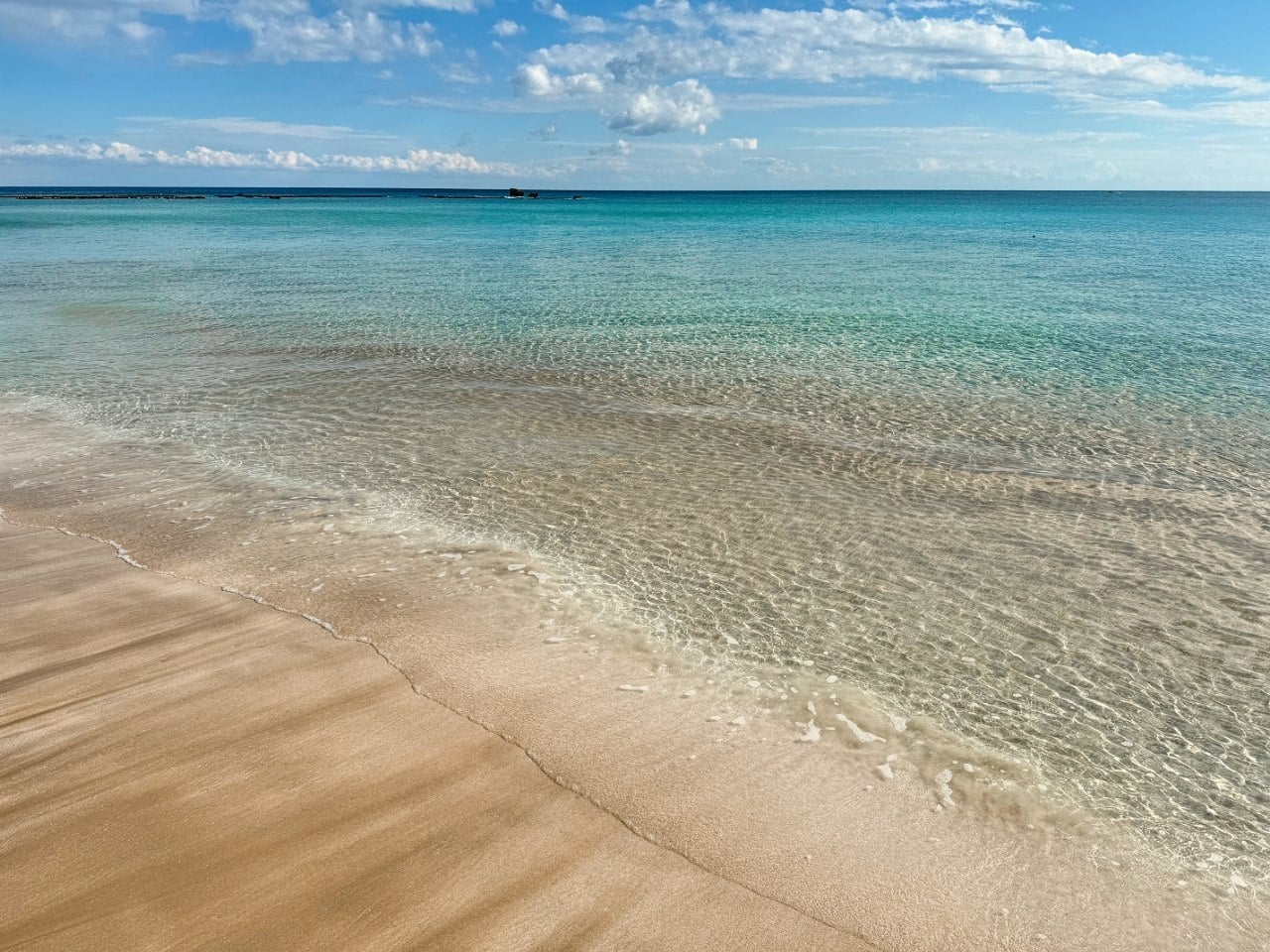 Galleria immagine 8