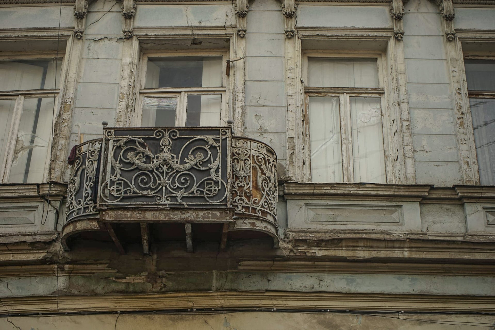 Galleria immagine 4