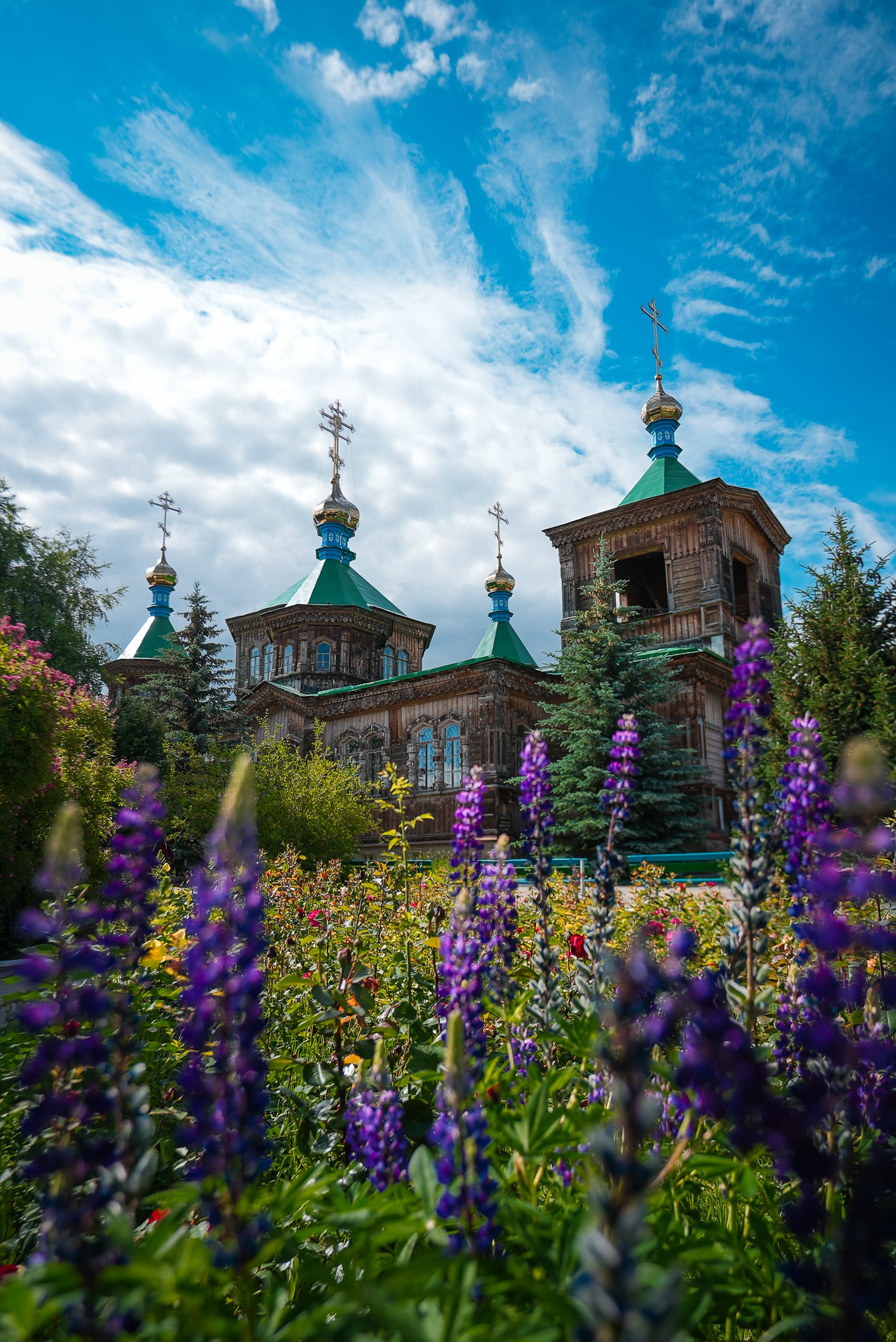 Galleria immagine 7