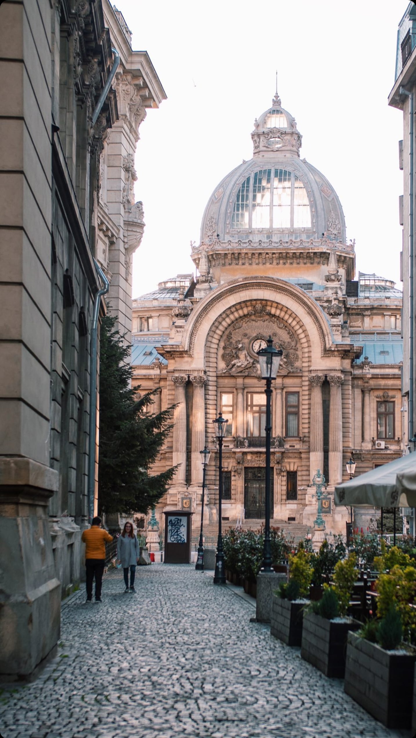 Galleria immagine 4